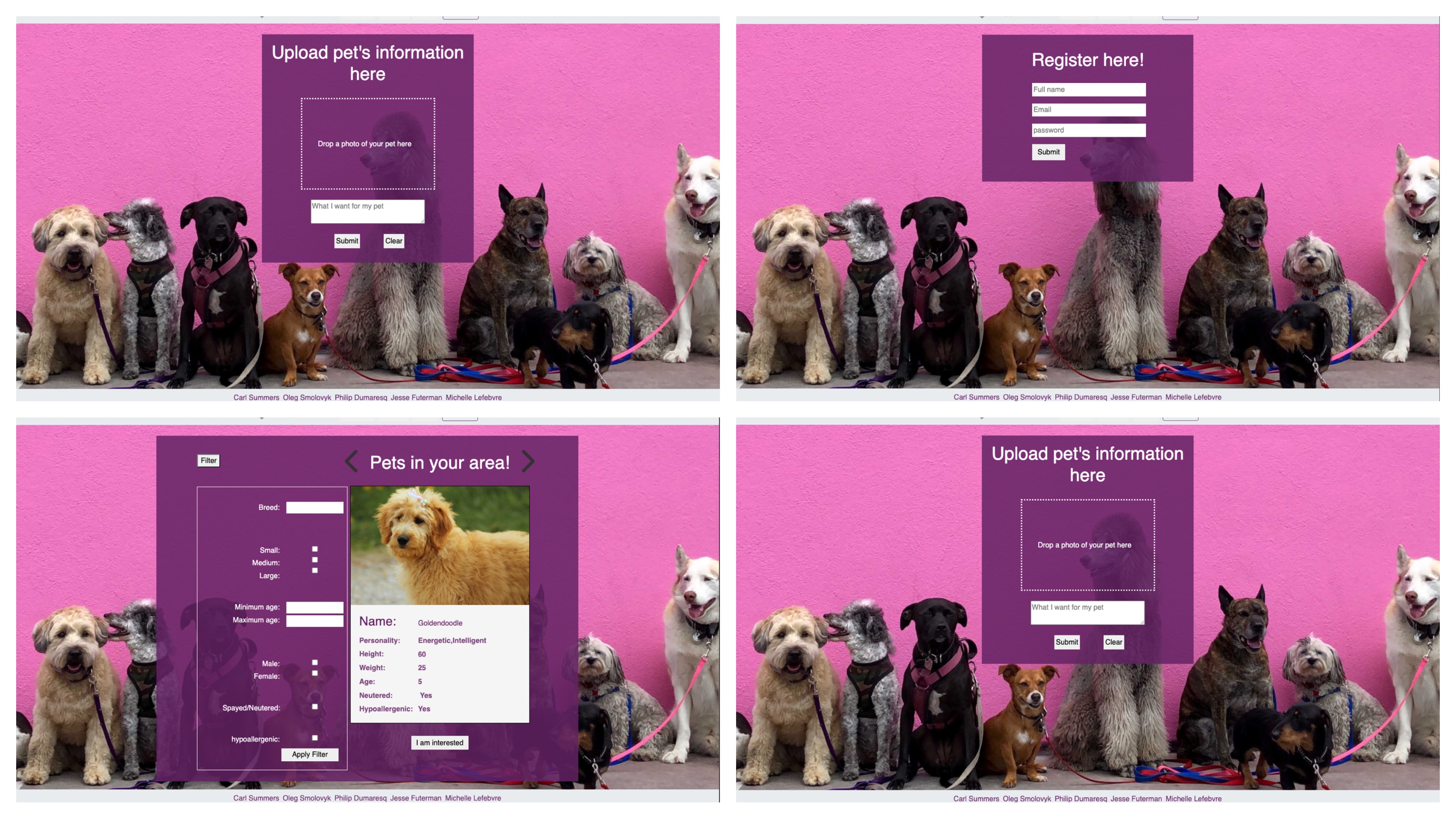 multiple dogs siting against pink wall